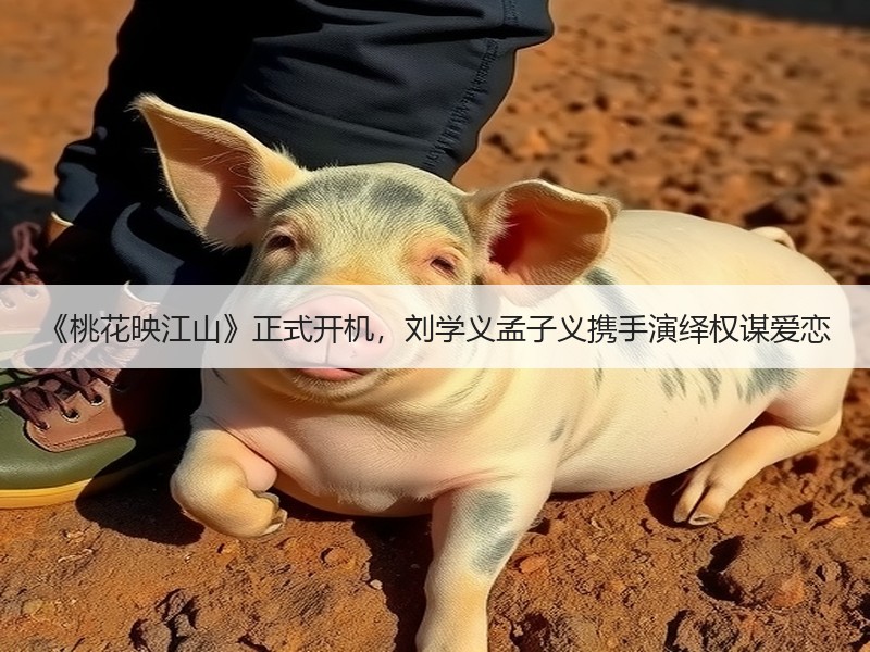 《桃花映江山》正式开机，刘学义孟子义携手演绎权谋爱恋