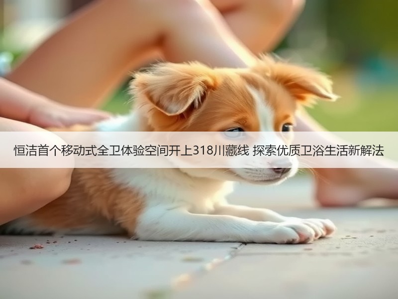 恒洁首个移动式全卫体验空间开上318川藏线 探索优质卫浴生活新解法