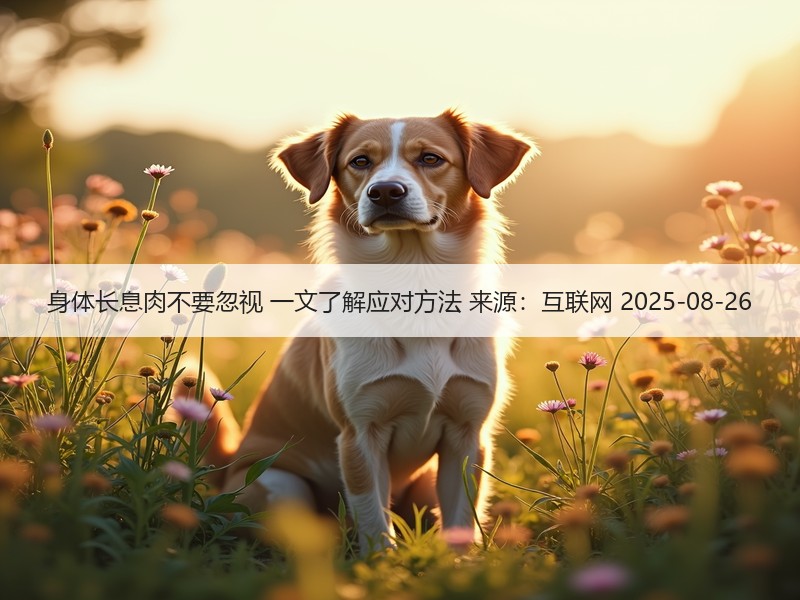 身体长息肉不要忽视 一文了解应对方法