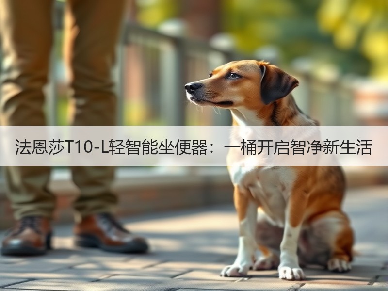 法恩莎T10-L轻智能坐便器：一桶开启智净新生活