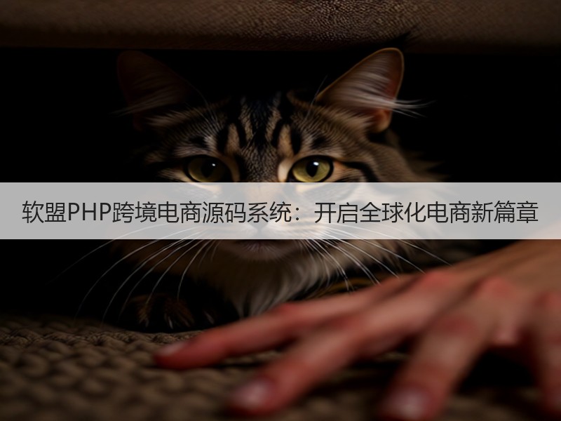 软盟PHP跨境电商源码系统：开启全球化电商新篇章