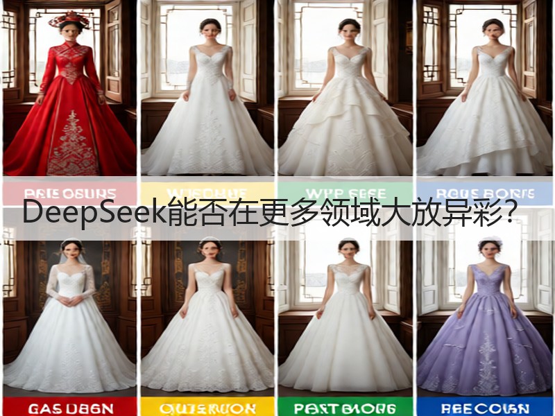 DeepSeek能否在更多领域大放异彩？