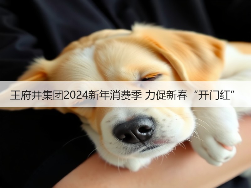 王府井集团2024新年消费季 力促新春“开门红”
