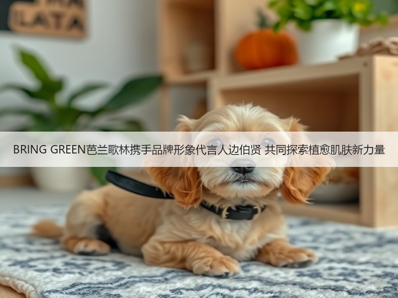 BRING GREEN芭兰歌林携手品牌形象代言人边伯贤 共同探索植愈肌肤新力量