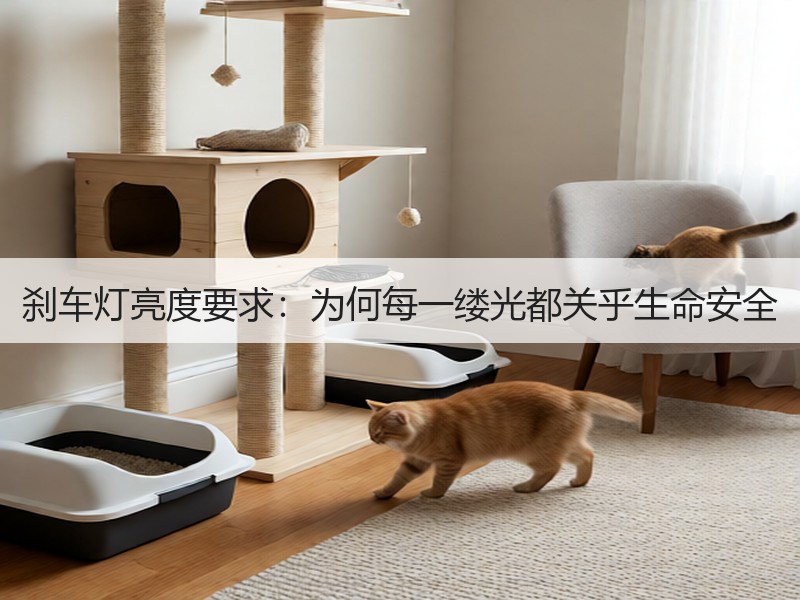 刹车灯亮度要求：为何每一缕光都关乎生命安全