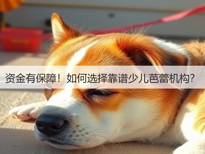 资金有保障！如何选择靠谱少儿芭蕾机构？