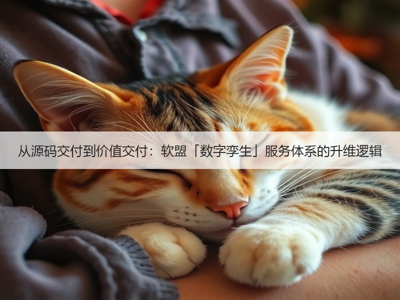 从源码交付到价值交付：软盟「数字孪生」服务体系的升维逻辑