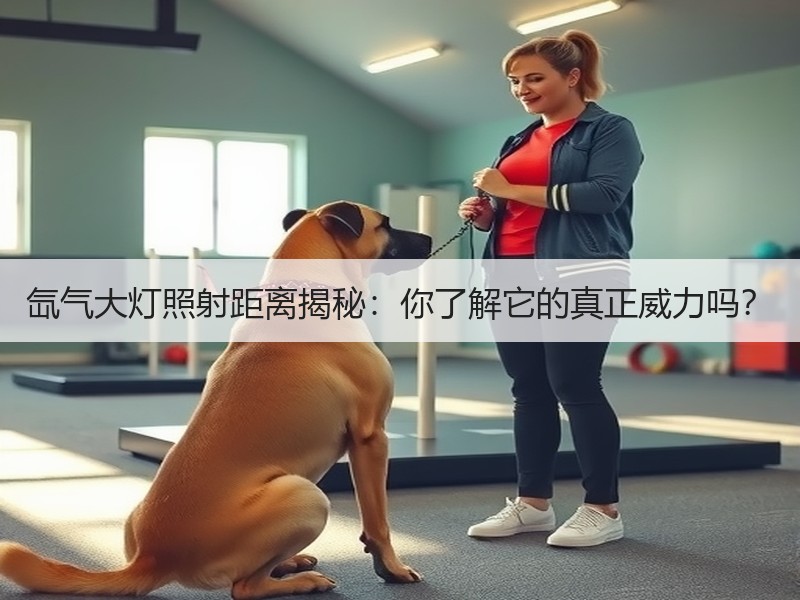 氙气大灯照射距离揭秘：你了解它的真正威力吗？
