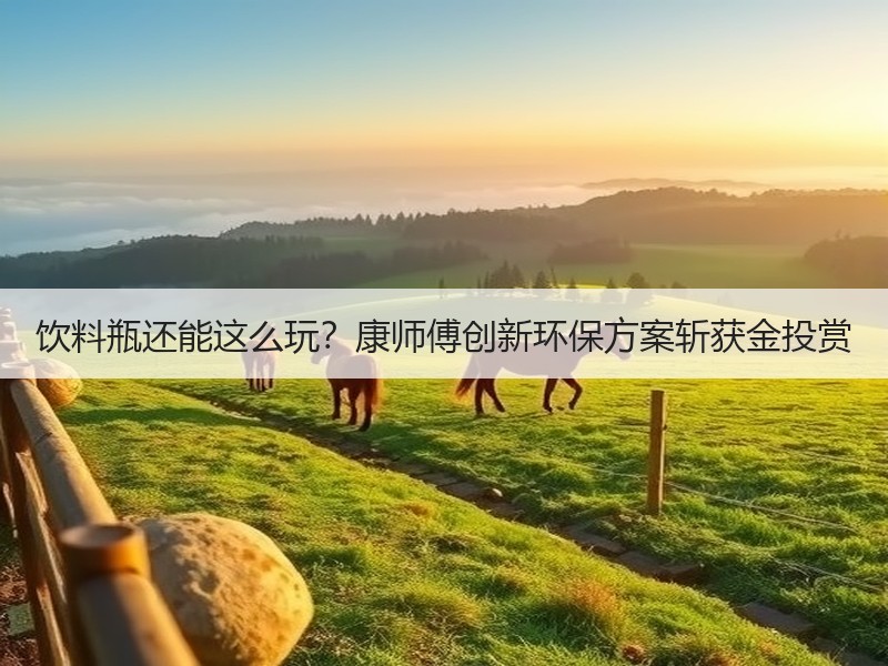 饮料瓶还能这么玩？康师傅创新环保方案斩获金投赏