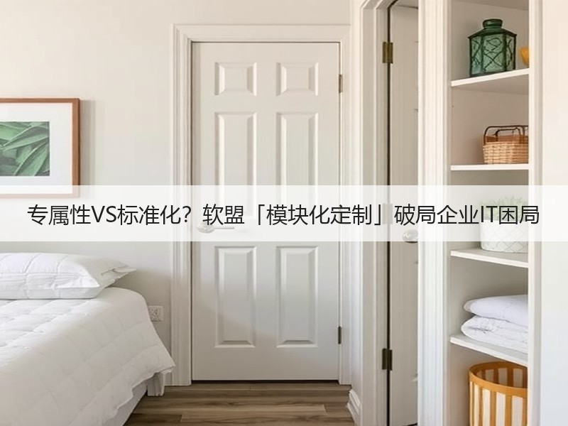 专属性VS标准化？软盟「模块化定制」破局企业IT困局